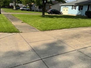 Darryl S.'s lawn maintenance service result
