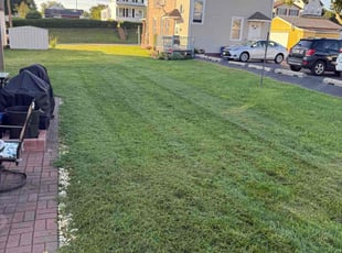Shaun A.'s lawn care service result