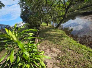 Jonette H.'s lawn care services service result