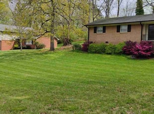 Joshua B.'s lawn care service result