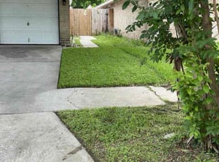 Jerry M.'s lawn service service result