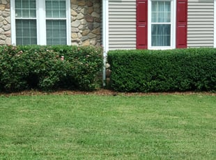 Linda G.'s Bush Trimming service result