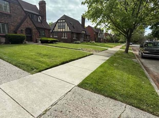Leslee S.'s turf maintenance service result