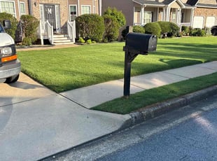 Tammy C.'s landscaping service result