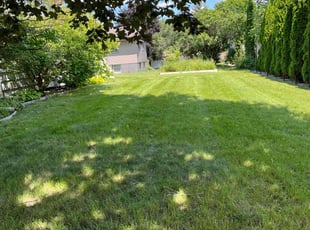 Jessica C.'s grass maintenance service result