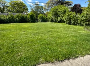 Koree E.'s lawn service service result