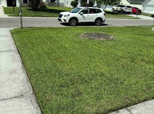 Michael T.'s turf care service result