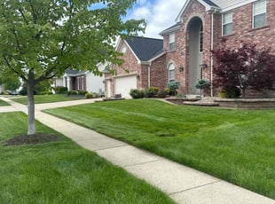 Vincent N.'s lawn care service result