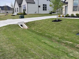 Josephine V.'s lawn care service result