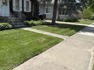 Val O.'s lawn care services service result