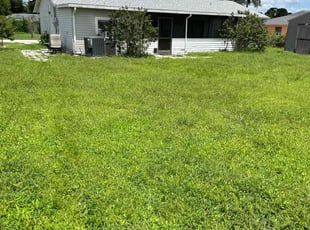 Mary S.'s grass cutting service result