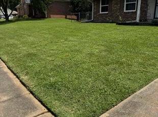 Julie B.'s lawn care service result
