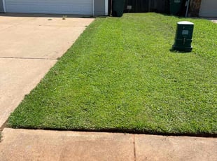 Michelle W.'s lawn maintenance service result