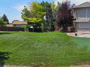 Ross C.'s turf care service result