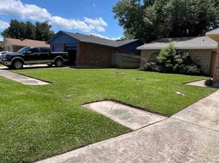 Rene R.'s lawn maintenance service result