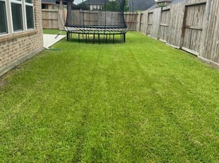 Khimmel B.'s lawn service service result