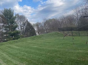 Richard Y.'s turf maintenance service result
