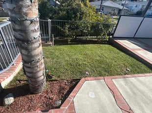 Kathy F.'s grass cutting service result