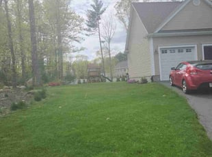 Cheryl T.'s turf maintenance service result
