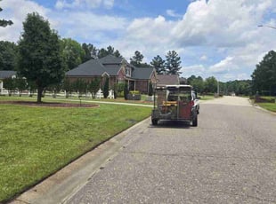 Anthony B.'s lawn service service result