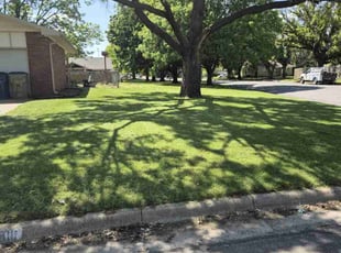 Tepree G.'s turf maintenance service result