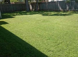 Linda S.'s grass cutting service result