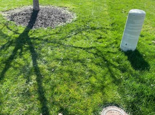 Marcus H.'s Leaf Removal service result