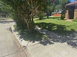 Marquita J.'s lawn care service result