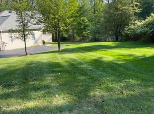 Jayne C.'s lawn maintenance service result