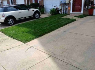 Zettia G.'s lawn service service result