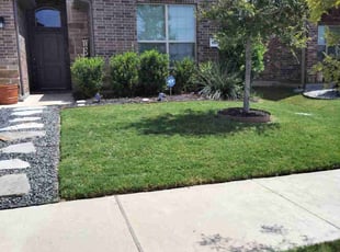 Anthony R.'s turf care service result