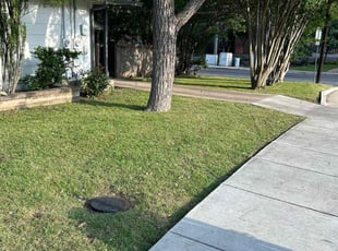 Lynn P.'s lawn service service result