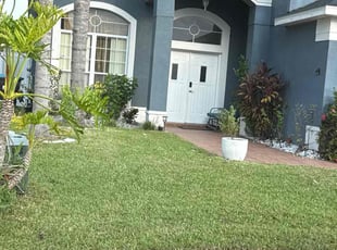 Megan S.'s grass cutting service result