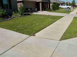 Andrea R.'s grass maintenance service result