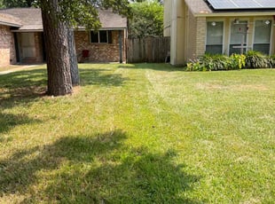Eileen M.'s lawn maintenance service result