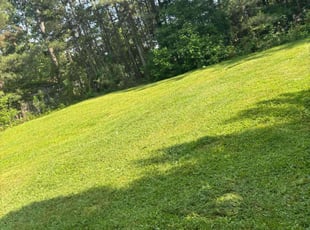David H.'s lawn service service result