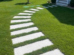Matthew P.'s lawn care service result