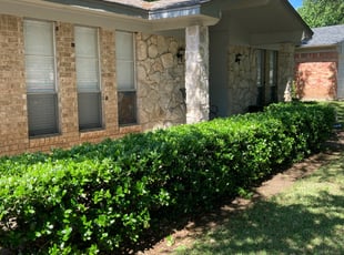Nicole A.'s Bush Trimming service result