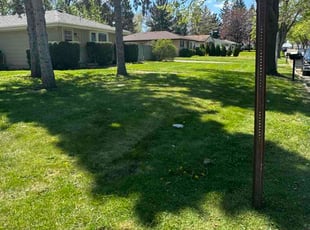 Eden M.'s grass cutting service result