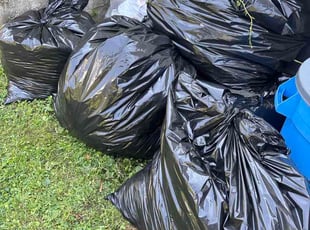 Ebun O.'s Bush Trimming service result