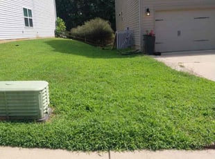 Morgan J.'s lawn maintenance service result