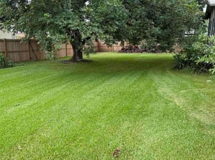Cindy D.'s lawn care service result