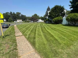 Russell S.'s yard maintenance service result