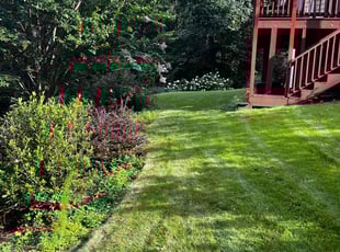 Kim O.'s grass cutting service result