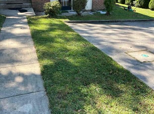 Laura M.'s grass cutting service result