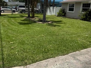 Kadiatu B.'s lawn care services service result