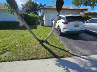 Vonda T.'s turf maintenance service result