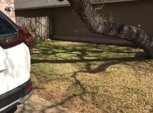 Christina A.'s Leaf Removal service result