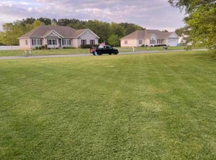 Robert B.'s turf maintenance service result