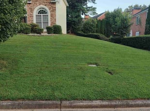 Linda C.'s grass cutting service result